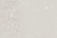 4011 Cloudburst Concrete