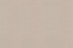 Cool Gray 0450