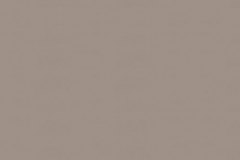 Dim Gray 0475