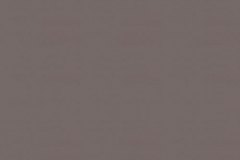 Warm Gray 0490