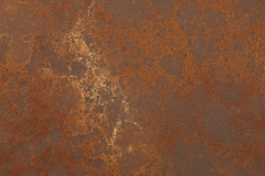 antica-bronze-eqjc-051