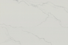 carrara-venato-eqam-044