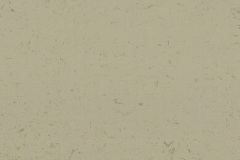 venezia-delicato-eqtg-012